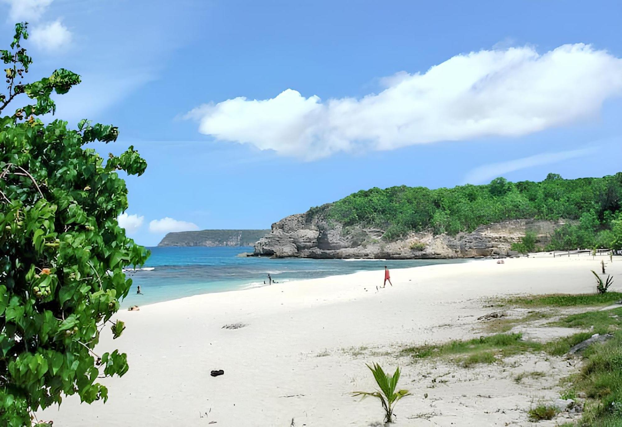 Maison Charmante A Anse-Bertrand Avec Jardin别墅 外观 照片